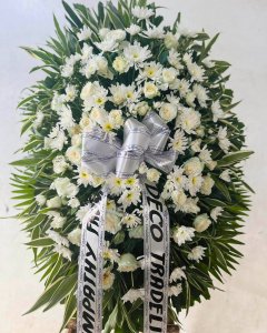 feelings of pity and sorrow